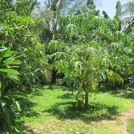 Local Beach Homestay Hoi An Exterior photo